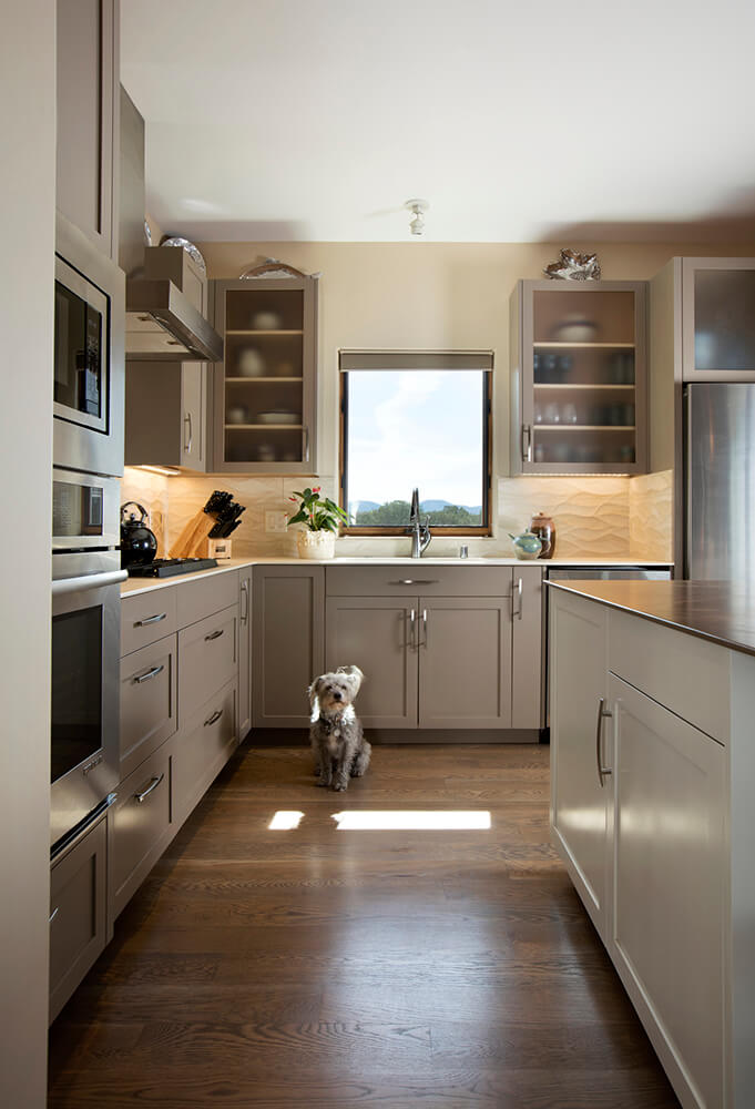 A kitchen with gray cabinets and a dog sitting on the floor designed by a home designer.